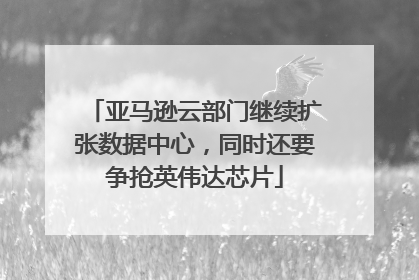 亚马逊云部门继续扩张数据中心，同时还要争抢英伟达芯片