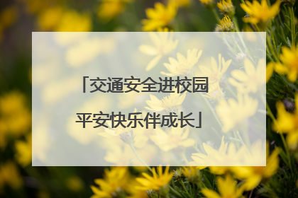 交通安全进校园 平安快乐伴成长