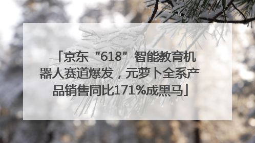 京东“618”智能教育机器人赛道爆发，元萝卜全系产品销售同比171%成黑马