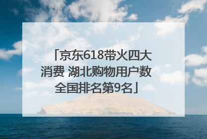 京东618带火四大消费 湖北购物用户数全国排名第9名