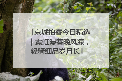 京城拍客今日精选｜霓虹漫巷晚风凉，轻骑细品岁月长