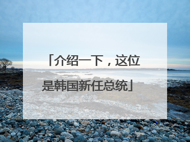 介绍一下，这位是韩国新任总统