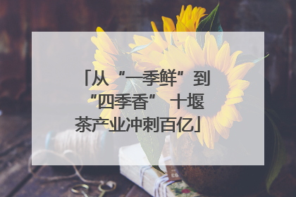 从“一季鲜”到“四季香” 十堰茶产业冲刺百亿