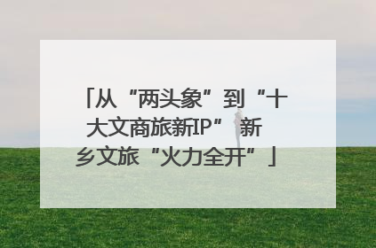 从“两头象”到“十大文商旅新IP” 新乡文旅“火力全开”