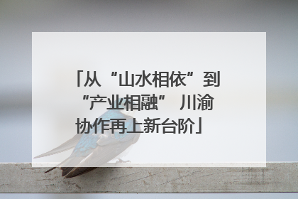 从“山水相依”到“产业相融” 川渝协作再上新台阶