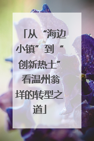 从“海边小镇”到“创新热土” 看温州翁垟的转型之道