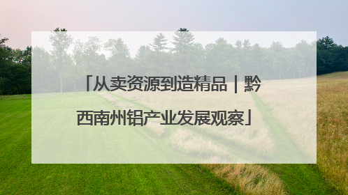 从卖资源到造精品｜黔西南州铝产业发展观察