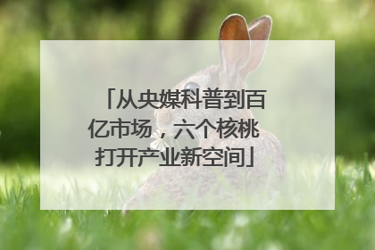 从央媒科普到百亿市场，六个核桃打开产业新空间
