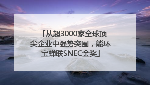 从超3000家全球顶尖企业中强势突围，能环宝蝉联SNEC金奖