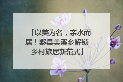 以美为名，亲水而居！黟县美溪乡解锁乡村旅居新范式