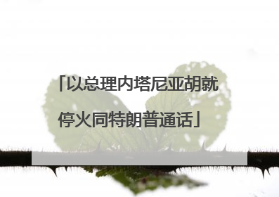 以总理内塔尼亚胡就停火同特朗普通话