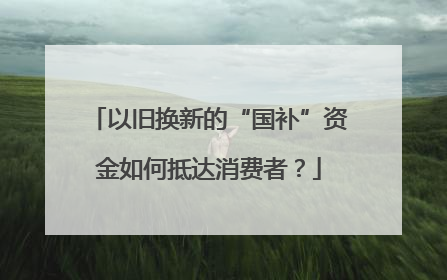 以旧换新的“国补”资金如何抵达消费者？