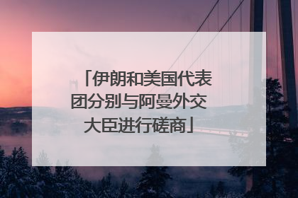 伊朗和美国代表团分别与阿曼外交大臣进行磋商