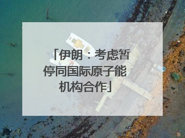 伊朗：考虑暂停同国际原子能机构合作