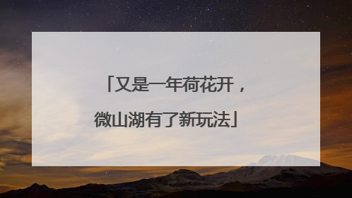 又是一年荷花开，微山湖有了新玩法