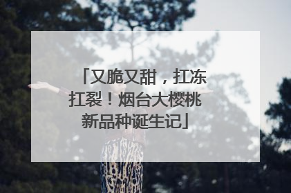 又脆又甜，扛冻扛裂！烟台大樱桃新品种诞生记