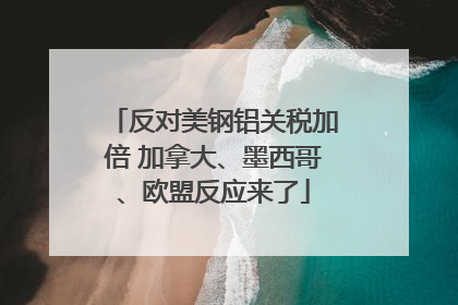 反对美钢铝关税加倍 加拿大、墨西哥、欧盟反应来了