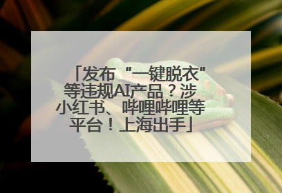 发布“一键脱衣”等违规AI产品？涉小红书、哔哩哔哩等平台！上海出手