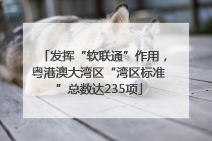 发挥“软联通”作用，粤港澳大湾区“湾区标准”总数达235项