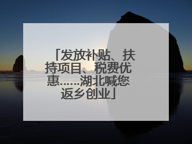 发放补贴、扶持项目、税费优惠……湖北喊您返乡创业