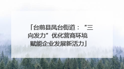 台前县凤台街道：“三向发力”优化营商环境 赋能企业发展新活力