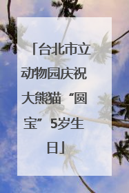 台北市立动物园庆祝大熊猫“圆宝”5岁生日