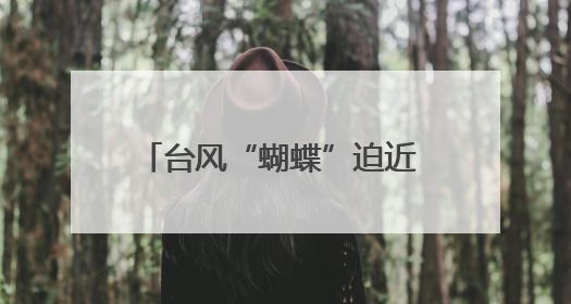 台风“蝴蝶”迫近 三亚海事局辖区货船码头均已停止作业