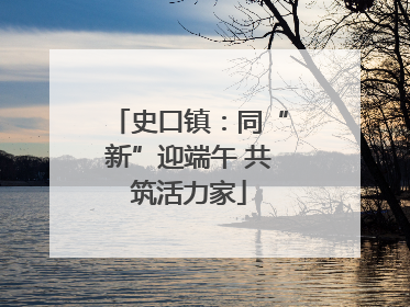 史口镇：同“新”迎端午 共筑活力家