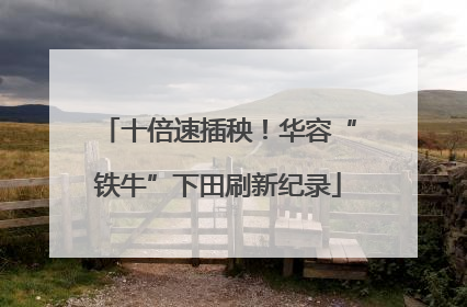 十倍速插秧！华容“铁牛”下田刷新纪录
