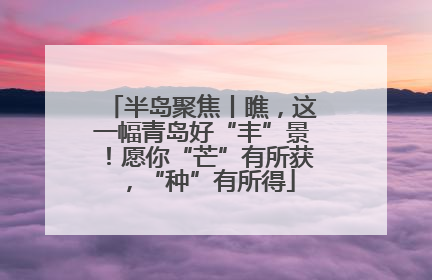 半岛聚焦丨瞧，这一幅青岛好“丰”景！愿你“芒”有所获，“种”有所得