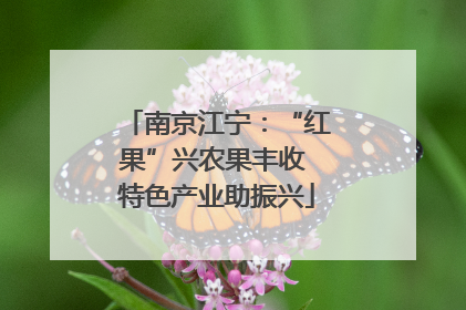 南京江宁：“红果”兴农果丰收 特色产业助振兴