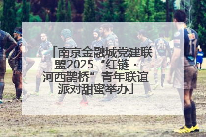 南京金融城党建联盟2025“红链・河西鹊桥”青年联谊派对甜蜜举办