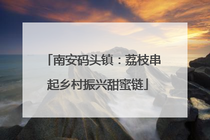 南安码头镇：荔枝串起乡村振兴甜蜜链