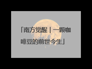 南方觉醒｜一颗咖啡豆的前世今生