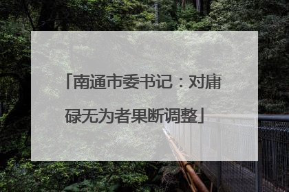 南通市委书记：对庸碌无为者果断调整