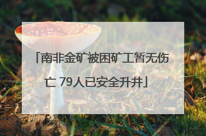 南非金矿被困矿工暂无伤亡 79人已安全升井