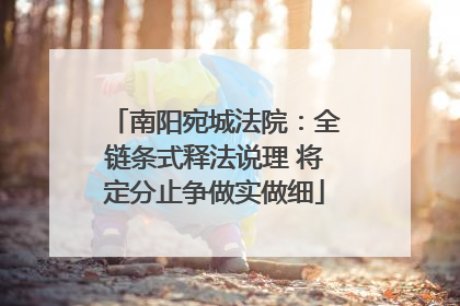 南阳宛城法院：全链条式释法说理 将定分止争做实做细