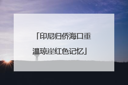 印尼归侨海口重温琼崖红色记忆