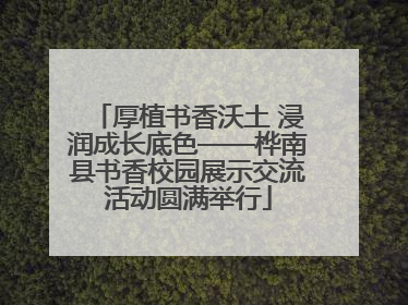厚植书香沃土 浸润成长底色——桦南县书香校园展示交流活动圆满举行