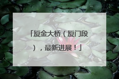 厦金大桥（厦门段），最新进展！