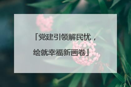 党建引领解民忧，绘就幸福新画卷