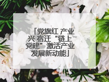 党旗红 产业兴 宿迁“链上党建”激活产业发展新动能