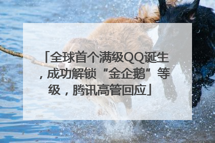 全球首个满级QQ诞生，成功解锁“金企鹅”等级，腾讯高管回应