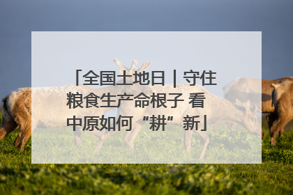 全国土地日｜守住粮食生产命根子 看中原如何“耕”新