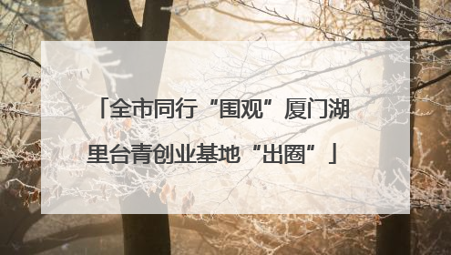 全市同行“围观”厦门湖里台青创业基地“出圈”