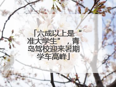 六成以上是“准大学生”，青岛驾校迎来暑期学车高峰