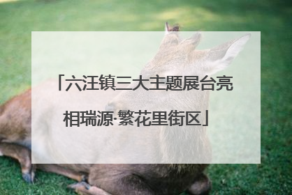 六汪镇三大主题展台亮相瑞源·繁花里街区