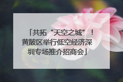共拓“天空之城”！黄陂区举行低空经济深圳专场推介招商会