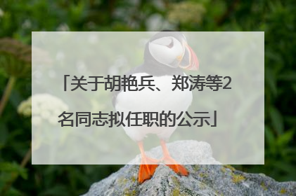 关于胡艳兵、郑涛等2名同志拟任职的公示