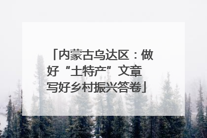 内蒙古乌达区：做好“土特产”文章 写好乡村振兴答卷